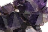 Stunning, Deep Purple Amethyst Crystal Cluster - Congo #223332-4